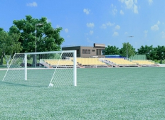 стадион в с. Марфино сельского поселения Федоскинское.
